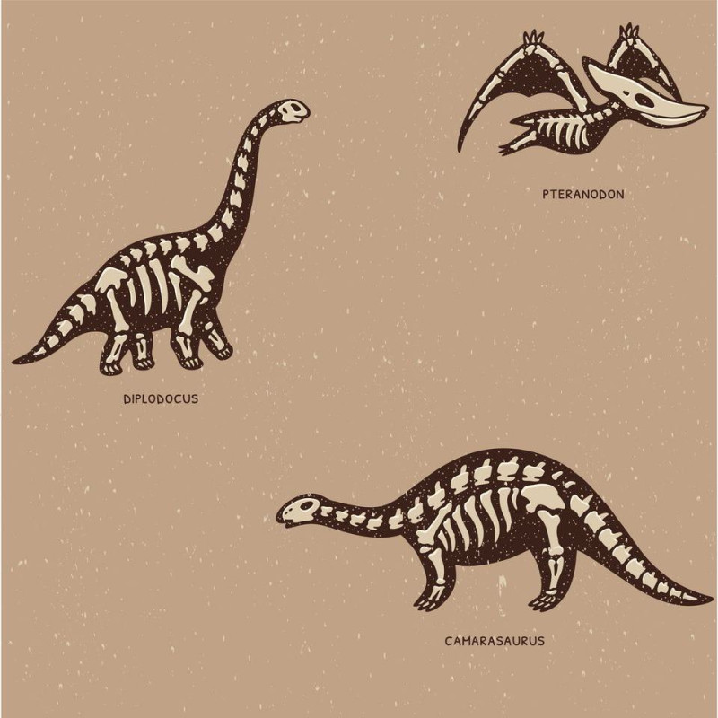 Dinoszauruszos csontvázas tapéta | 50 cm x 250 cm
