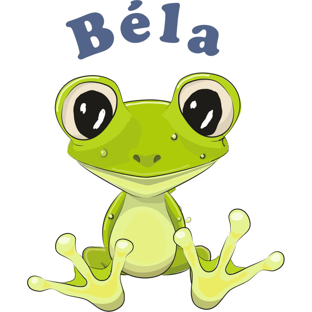 Békás névre szóló falmatrica