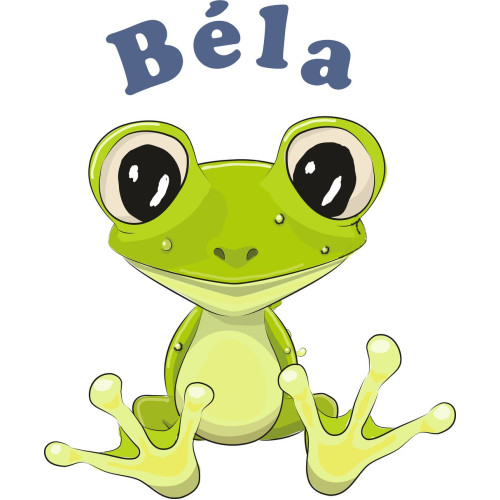 Békás névre szóló falmatrica Békás névre szóló falmatrica