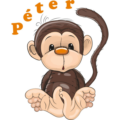 Majom fiú névre szóló falmatrica