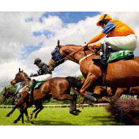 Lovas poszter 360 cm x 270 cm