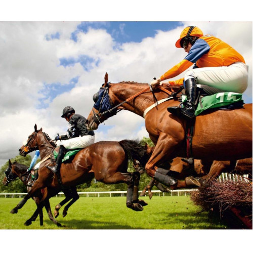 Lovas poszter 360 cm x 270 cm Lovas poszter 360 cm x 270 cm