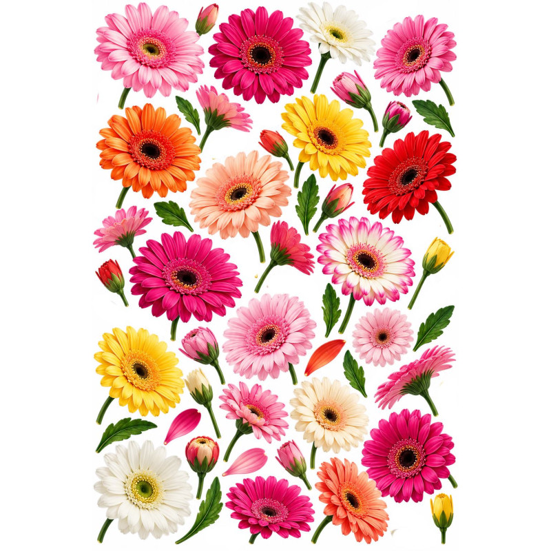Gerbera faldekoráció szett – színes virágok