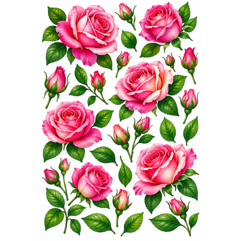 Pink rózsás faldekoráció szett