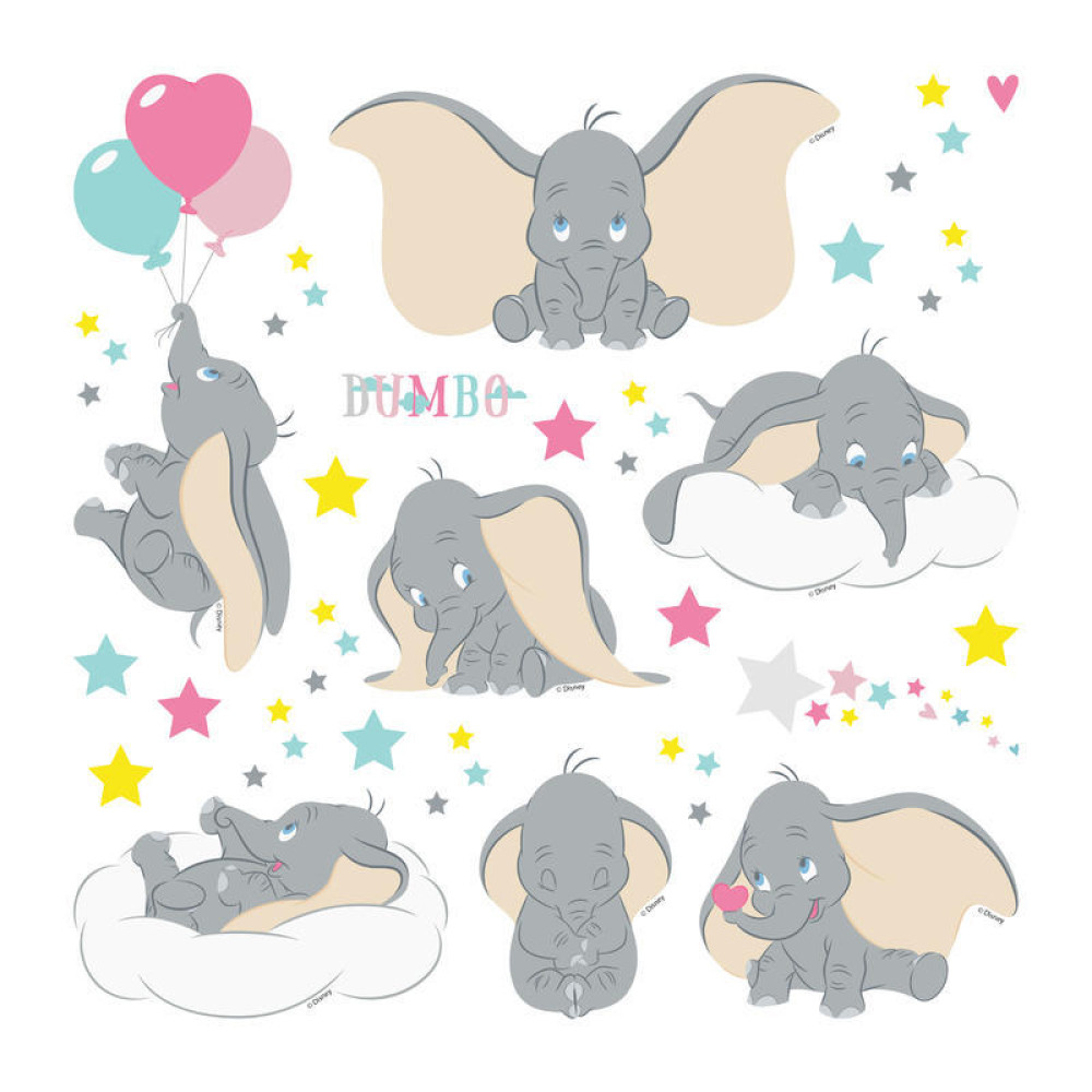 Dumbo falmatrica | 30 cm x 30 cm Dumbo falmatrica | 30 cm x 30 cm