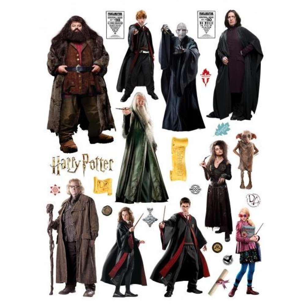 Harry Potter falmatrica | 85 cm x 65 cm