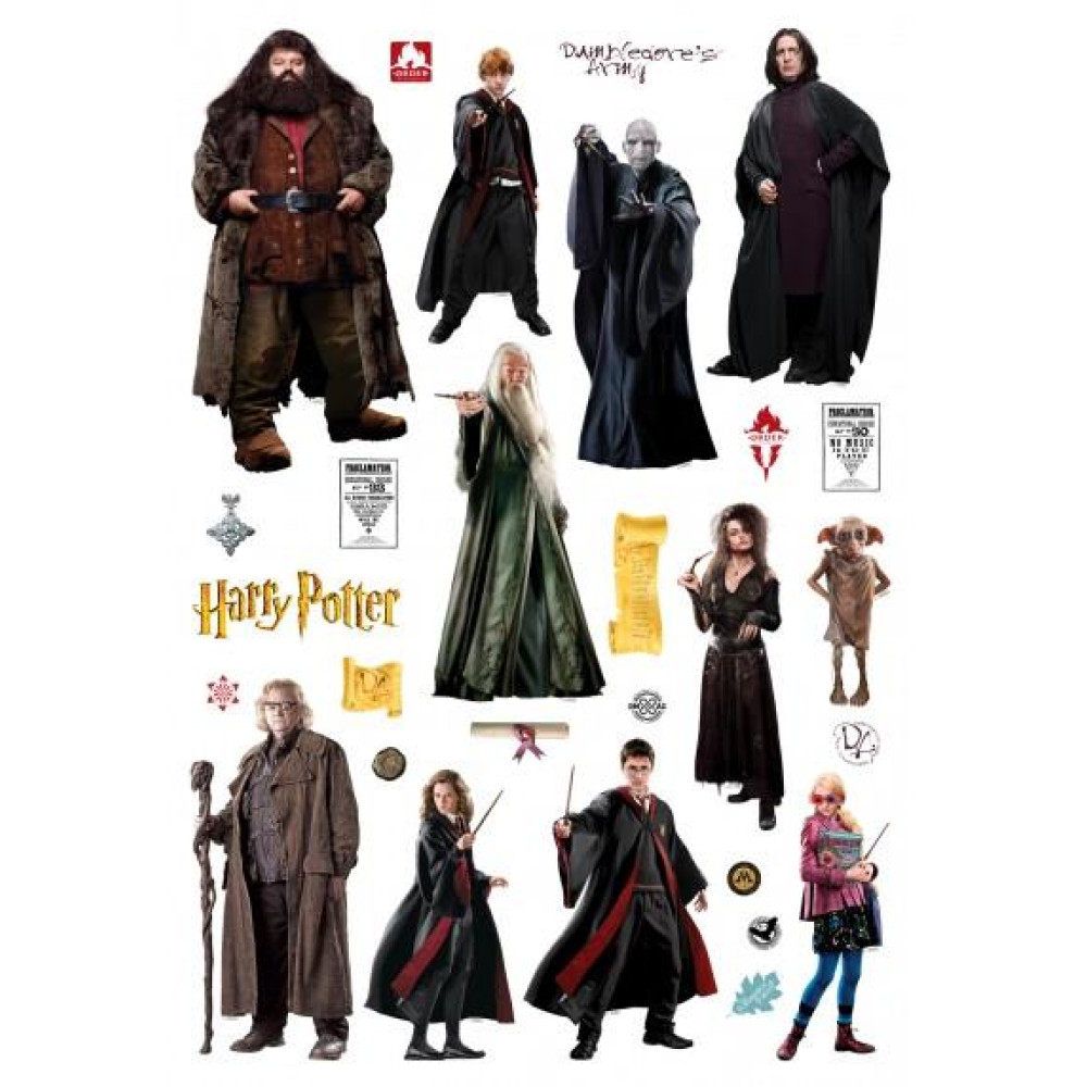 Harry Potter falmatrica | 65 cm x 42,5 cm Harry Potter falmatrica | 65 cm x 42,5 cm