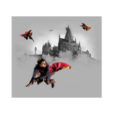 Harry Potter (6)