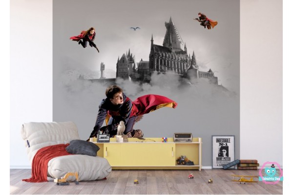 Harry Potter óriás poszter | 300 cm x 270 cm