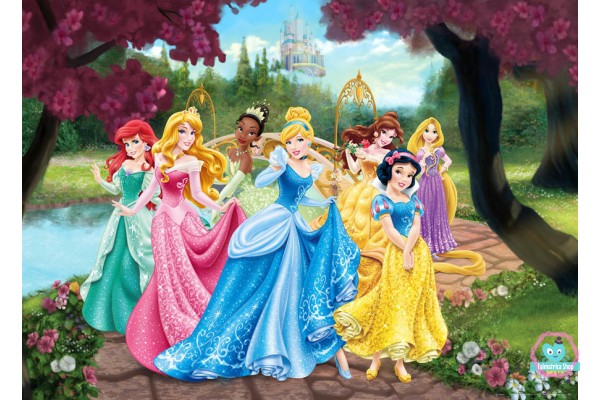 Disney Hercegnők poszter 160 cm x 110 cm