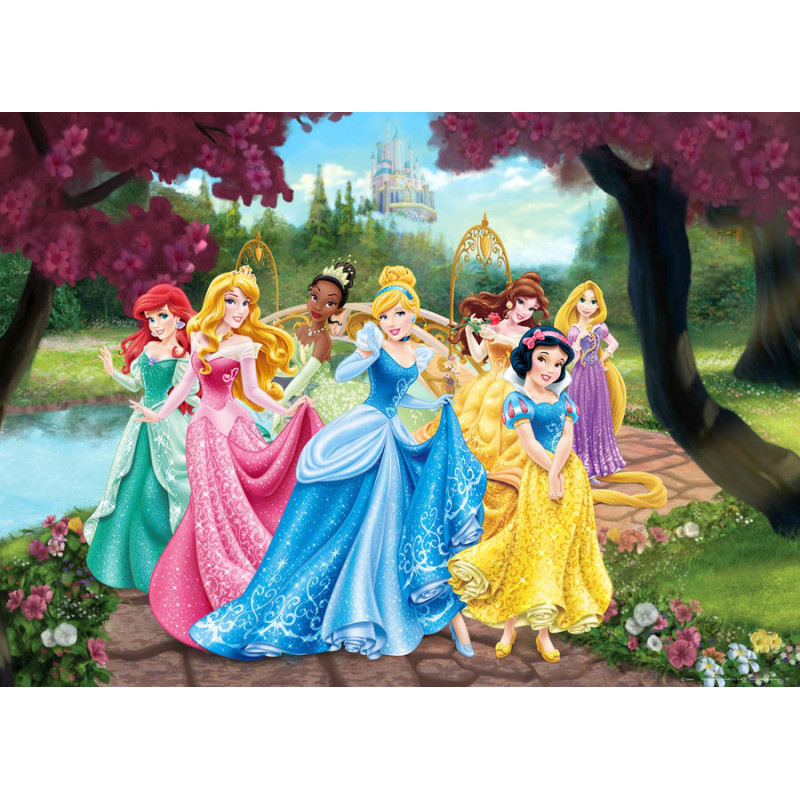 Disney Hercegnők poszter 160 cm x 110 cm