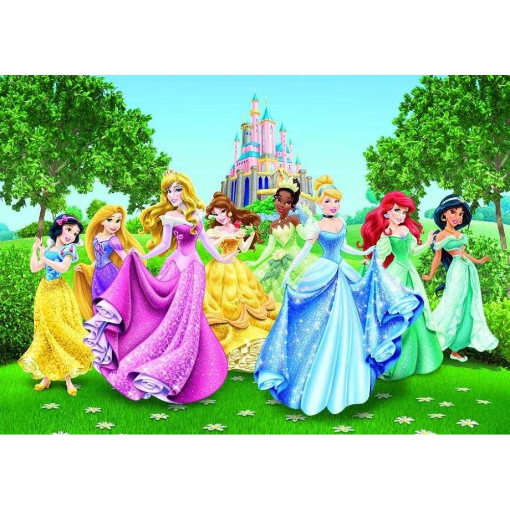 Disney Hercegnők óriás poszter 360 cm x 255 cm