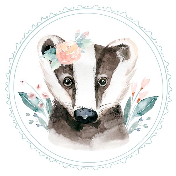 Watercolor forrest animals Borz falmatrica | 50 cm x 50 cm-től
