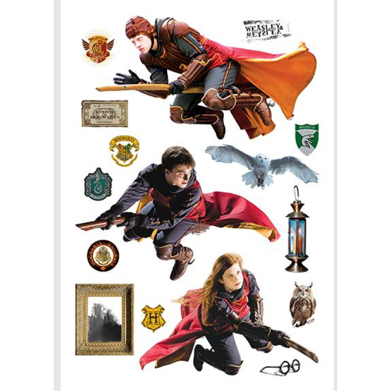 Harry Potter falmatrica | 65 cm x 42,5 cm Harry Potter falmatrica | 65 cm x 42,5 cm