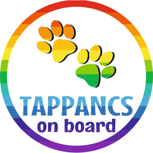 Állat on board névre szóló babamatrica, szivárvány