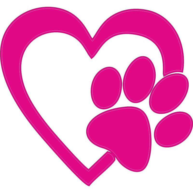 Pink kutya tappancs szívvel autómatrica