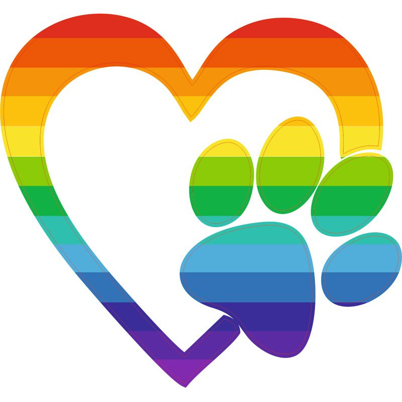 Szivárvány kutya mancs szívvel autómatrica