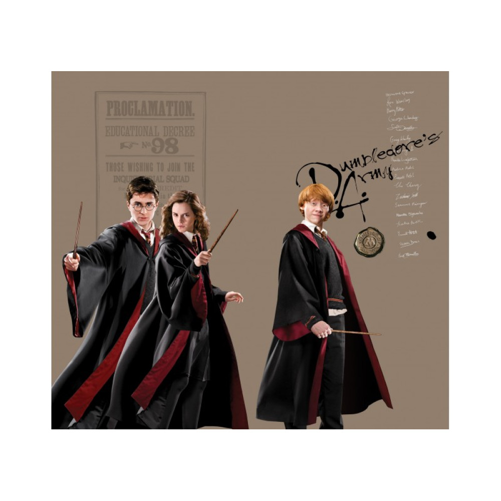 Harry Potter gyerekszoba függöny | 180 cm x 160 cm
