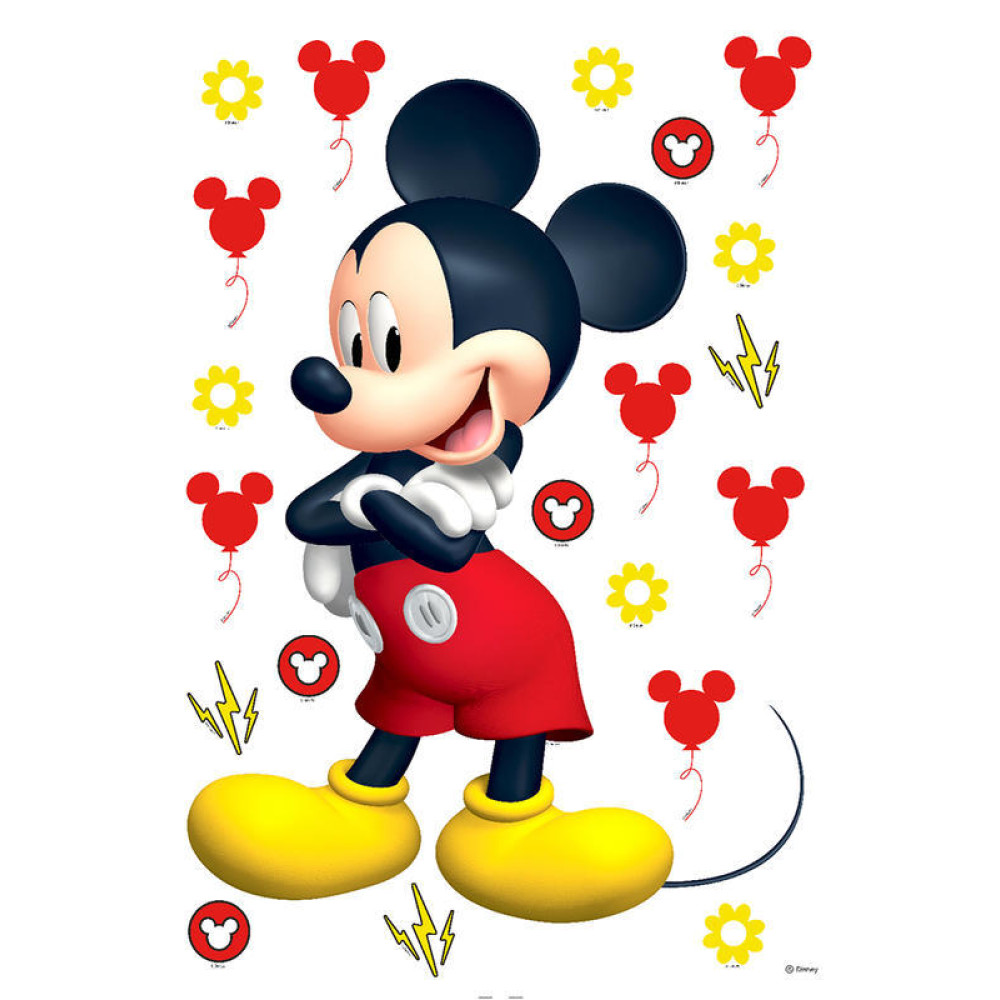 Mickey egeres falmatrica, 42.5 cm x 65 cm | 42,5 cm x 65 cm