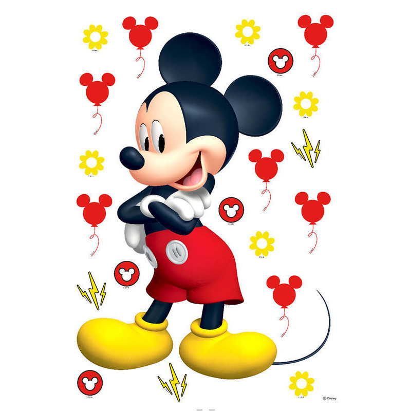 Mickey egeres falmatrica, 42.5 cm x 65 cm | 42,5 cm x 65 cm